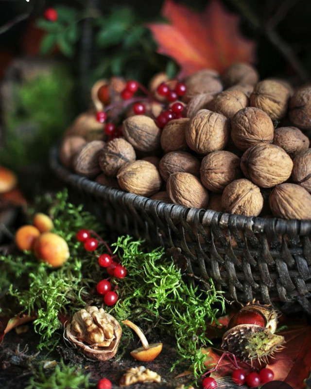 Screenshot_20231115_212020_Pinterest