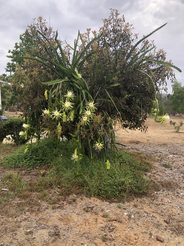 658094E5-7841-46EB-8A31-1200B1A7995A