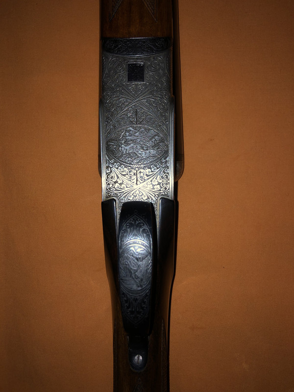 C63E5D1D-77C6-4DCA-8E12-78A425657A4A