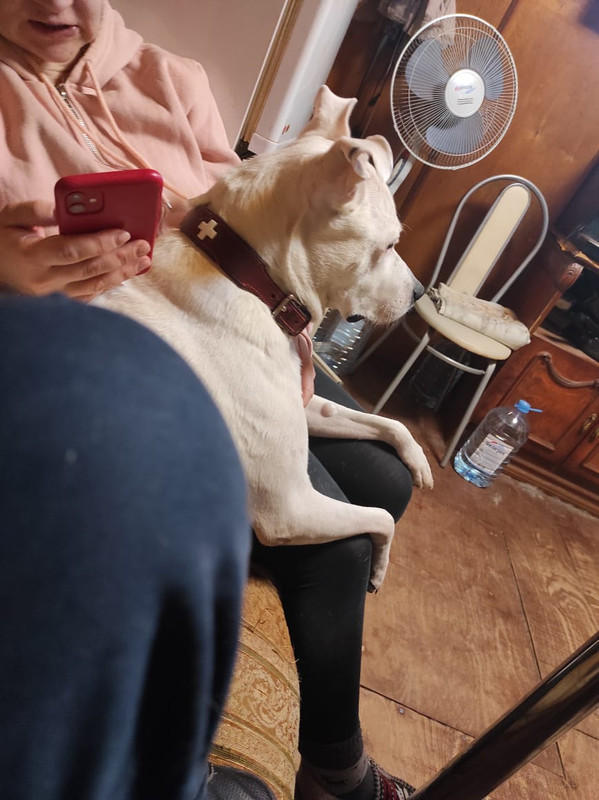 F0134FA9-E99A-4CBA-986A-36AABF9F59E2