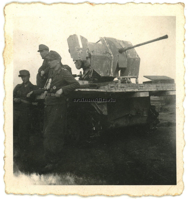 Orig. Foto Heeresflak mit 2 cm Flak Geschütz auf SdKfz Halbkette 1944 Fernglas