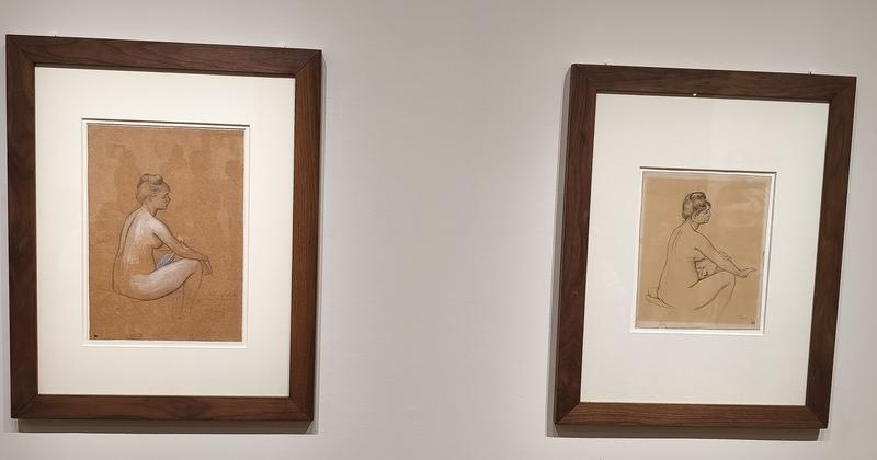 París: Exposiciones de Renoir, Matisse, Rousseau, Miguel Ángel y Rodín etc etc - Blogs de Francia - Llegar a París de nuevo: Metro y al Orsay. (73)