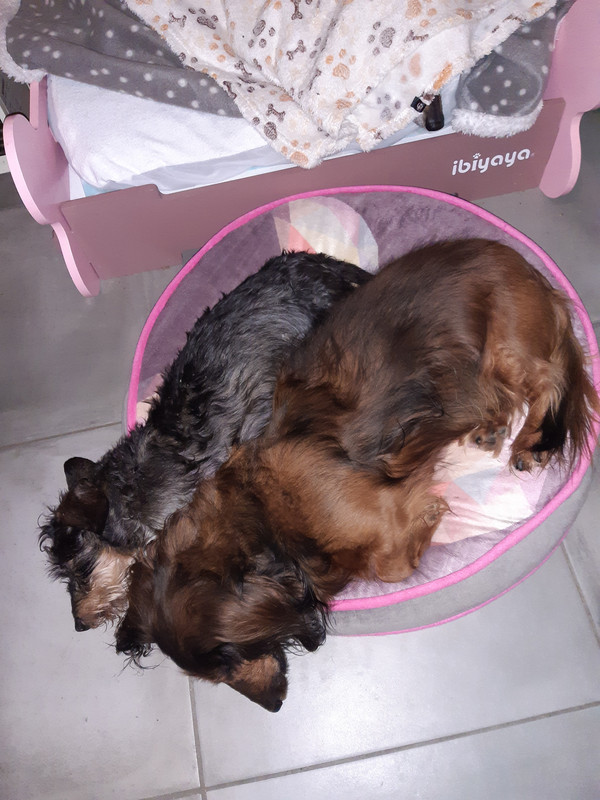 [Image: 20201129-080031.jpg]