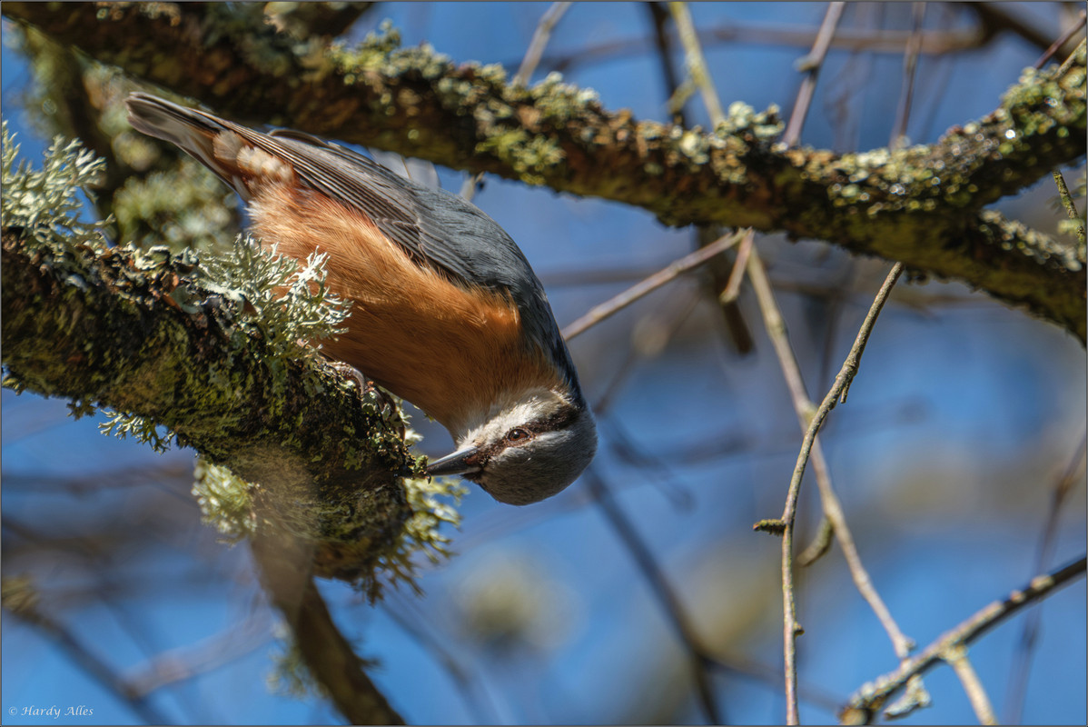 XT5A6908-Verbessert-RR 2025 Rombachweiher LR ERWZ FB - Kopie