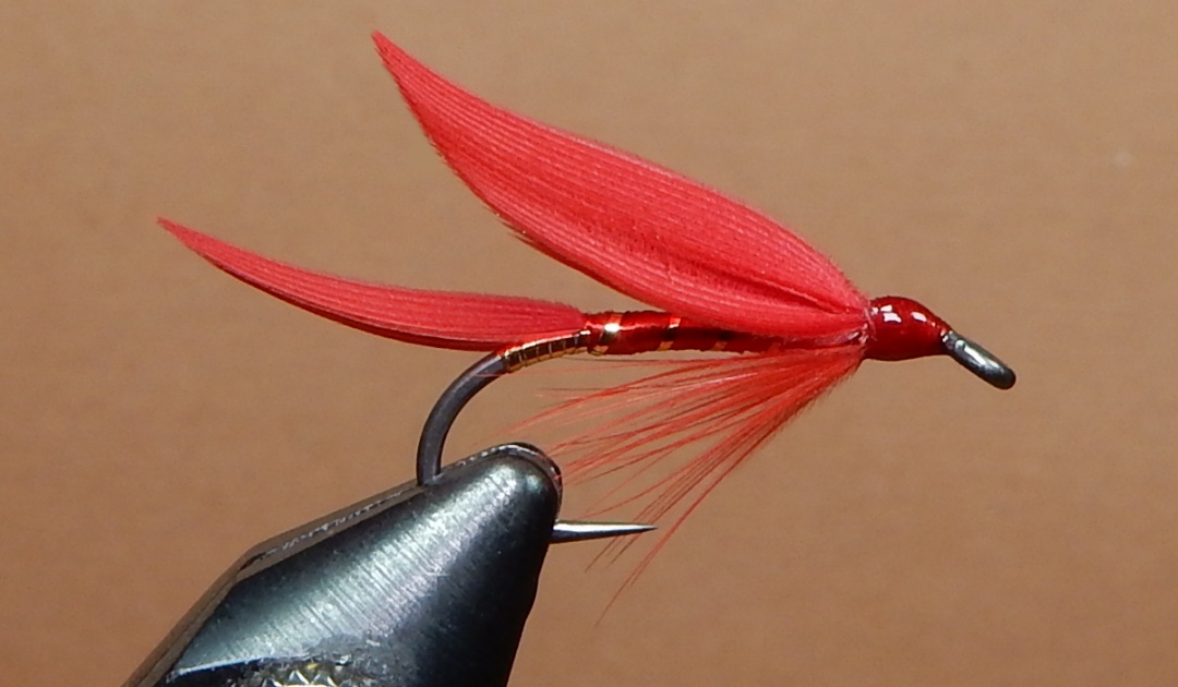 Scarlet-Ibis-1080.jpg