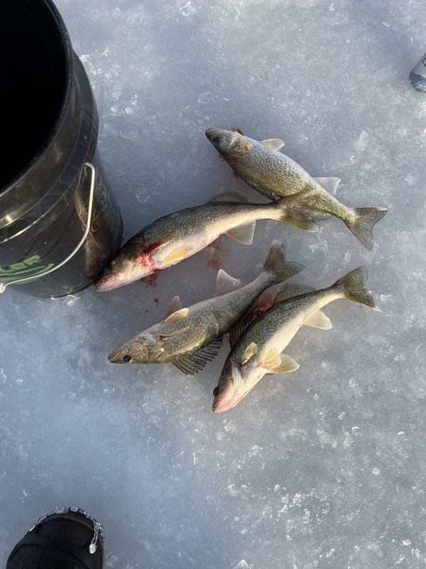 DCAFB7CC-235F-43DF-A7AA-5D54C7C4C8E7