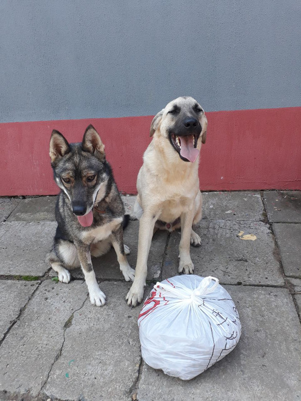 изображение_viber_2019-08-09_12-35-41