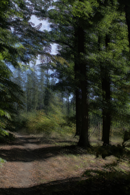 IMG-5959-hdr.jpg
