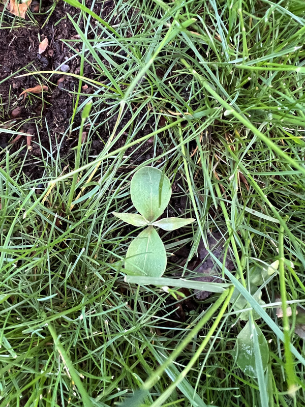 E6880C03-4DE5-49BD-B829-3EFDCE3960AF