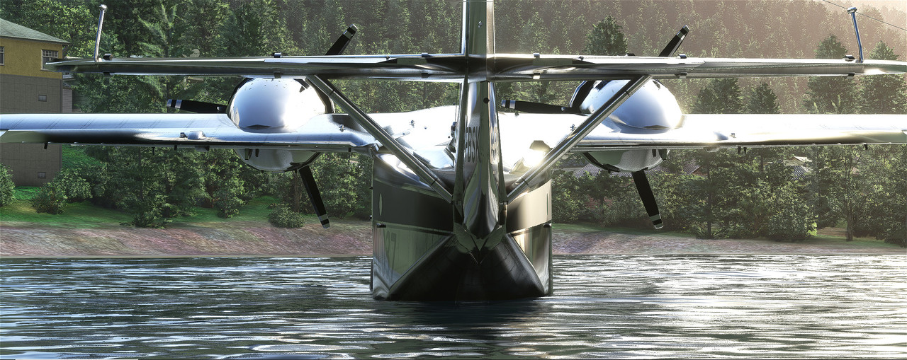 Goose-3.jpg