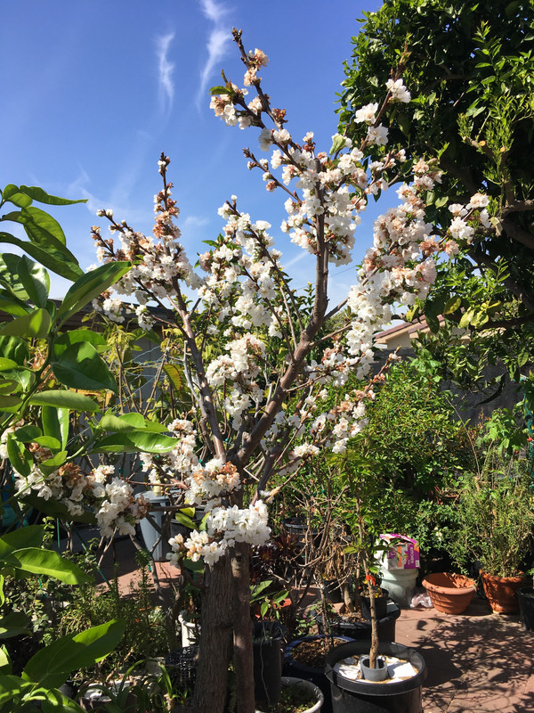 A83DF7AC-B4B1-4BFE-ADCB-5F4776227D1C