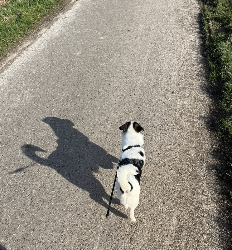 BB94670A-E6DD-48DB-A87D-9E7C573D4311