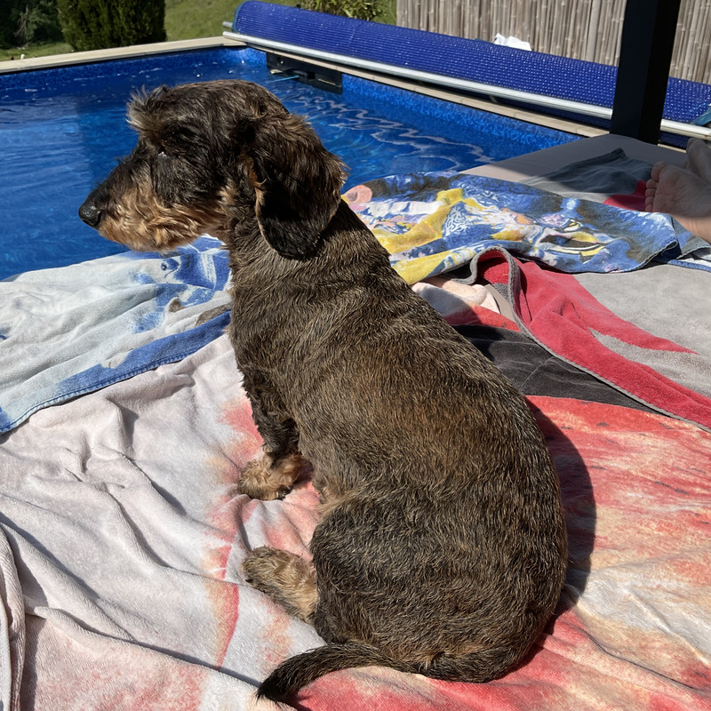 [Image: IMG-0135.jpg]