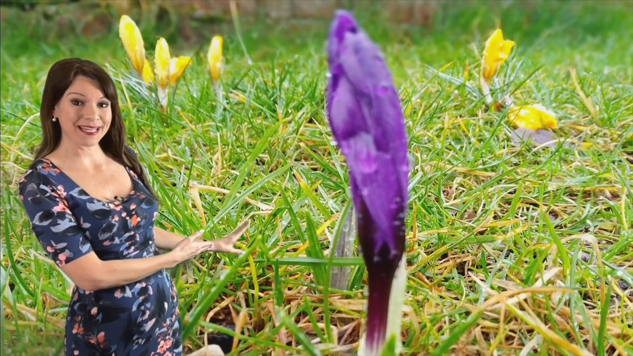 2023-02-22_14_30_BBC1_Regional-News-and-Weather_22-02-2023-Lunch.mp4_snapshot_16.58.651