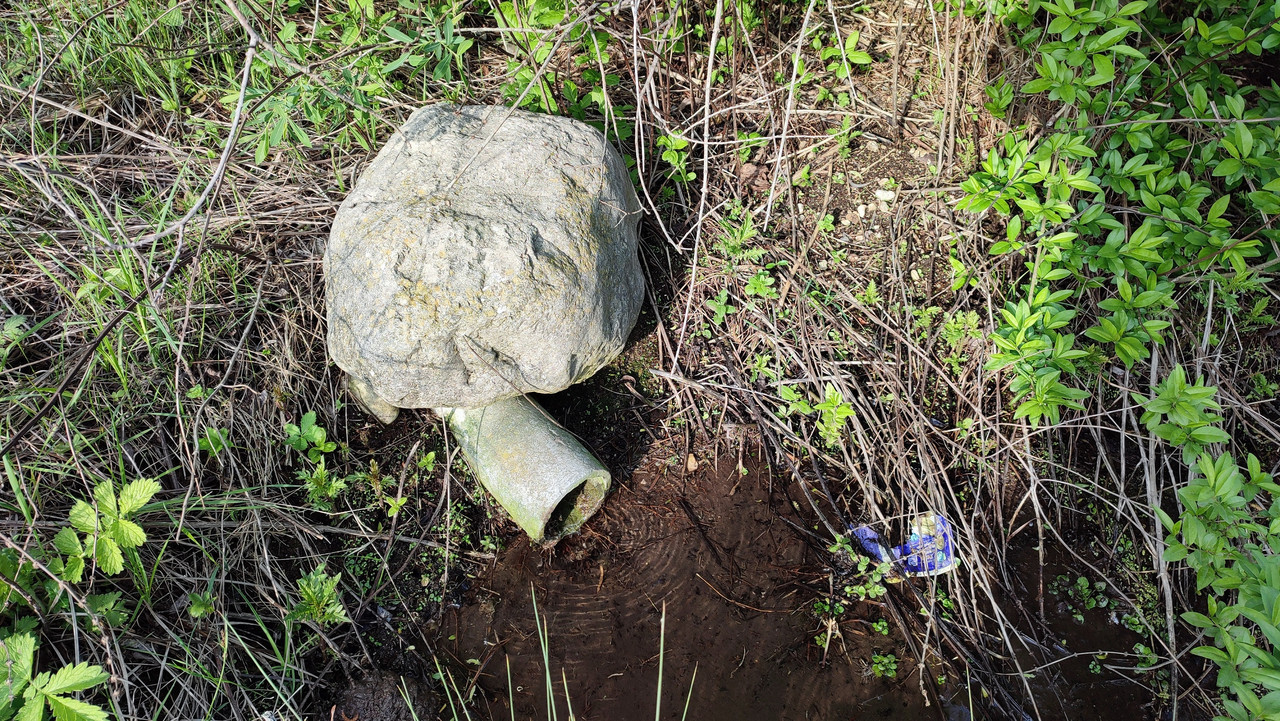 IMG_20230514_072759 кор