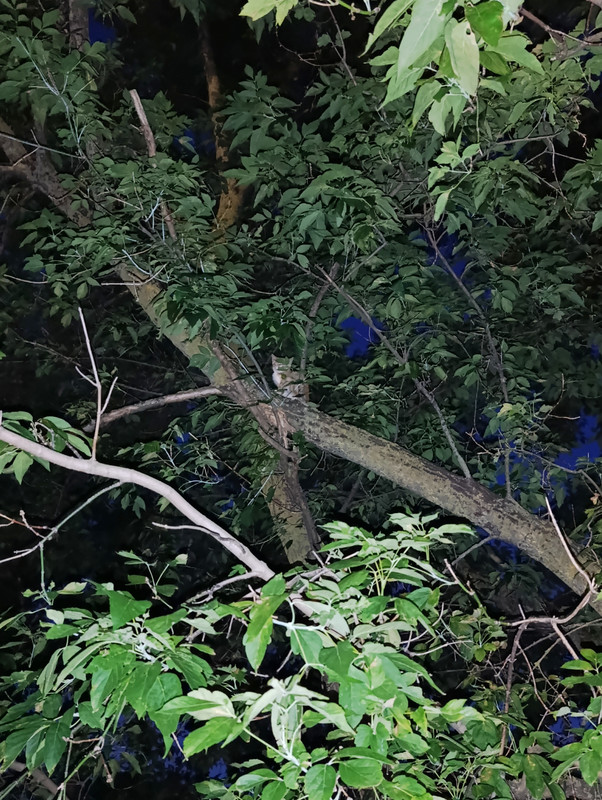 IMG 20260812 130852