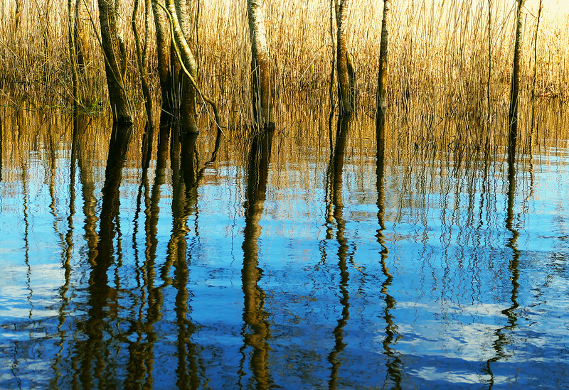 bluenaturereserve.jpg