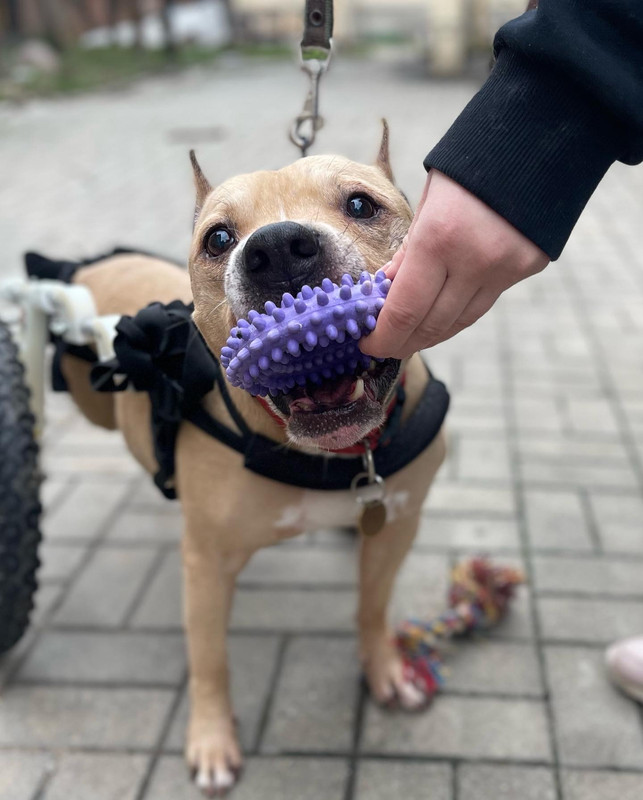 90D2F324-C5FF-43B0-9B57-01AF763863FC