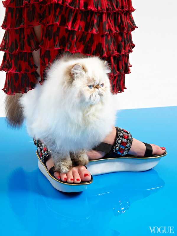 cats-kittens-flats-shoes-23-161906768996