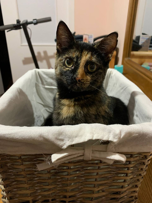 0285E8CC-8172-43E1-A405-2A81503BAB71