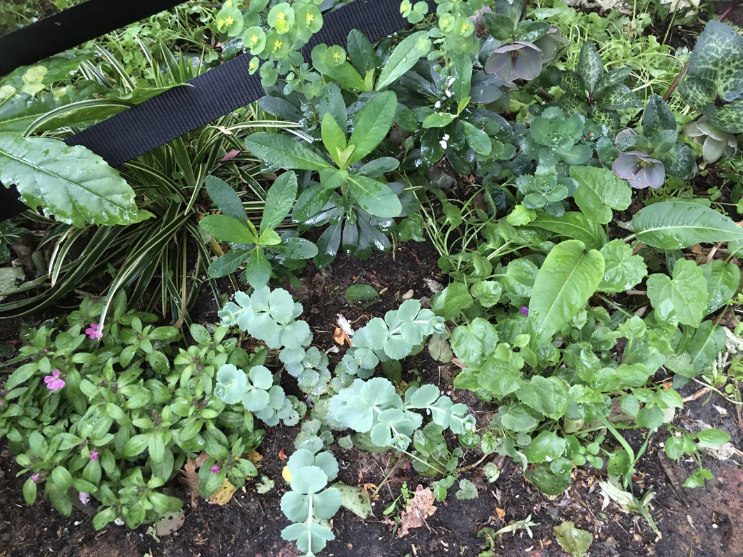 C28BCF64-492D-4292-8E41-810661DD89BD