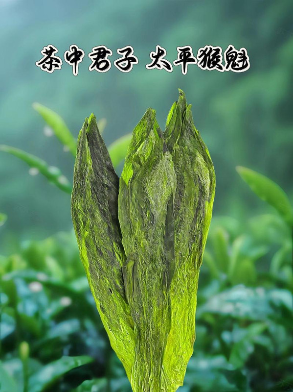 Taiping Houkui(太平猴魁): The Reigning Emperor of Chinese Green Teas Taiping Houkui(太平猴魁): The Reigning Emperor of Chinese Green Teas