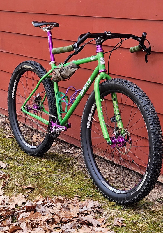surly1.jpg