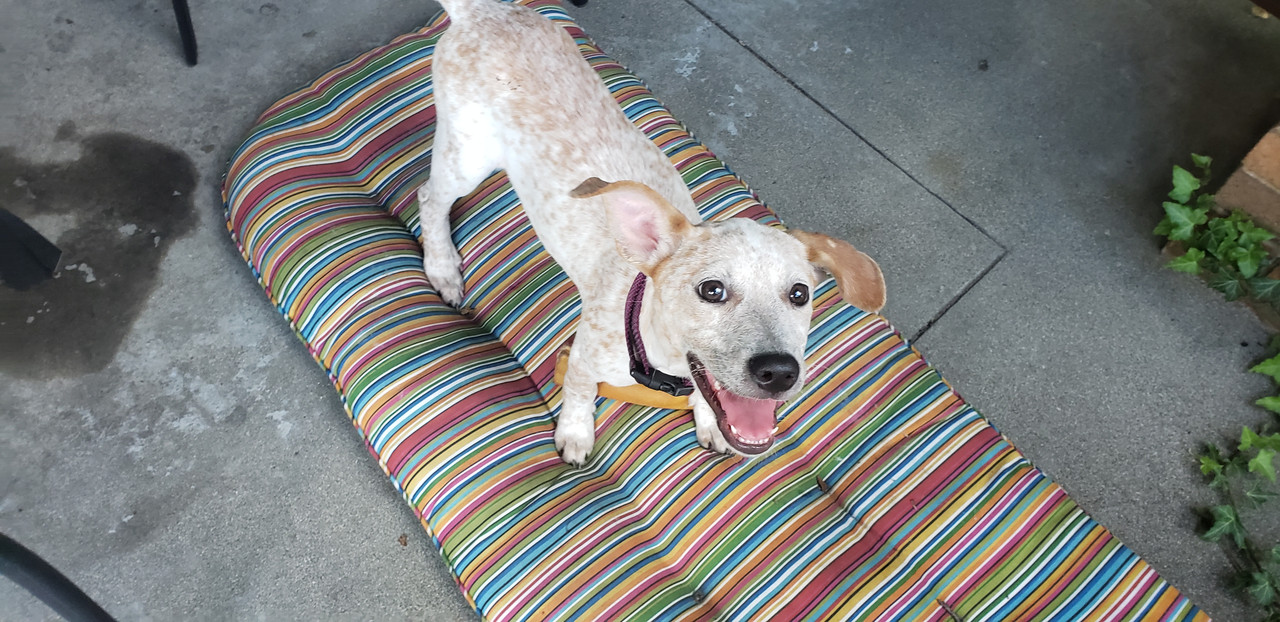 JPEG_20200718_182032