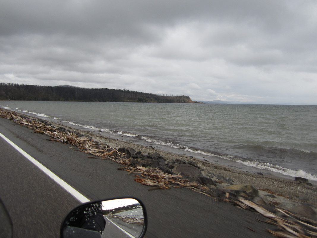 IMG-0429.jpg