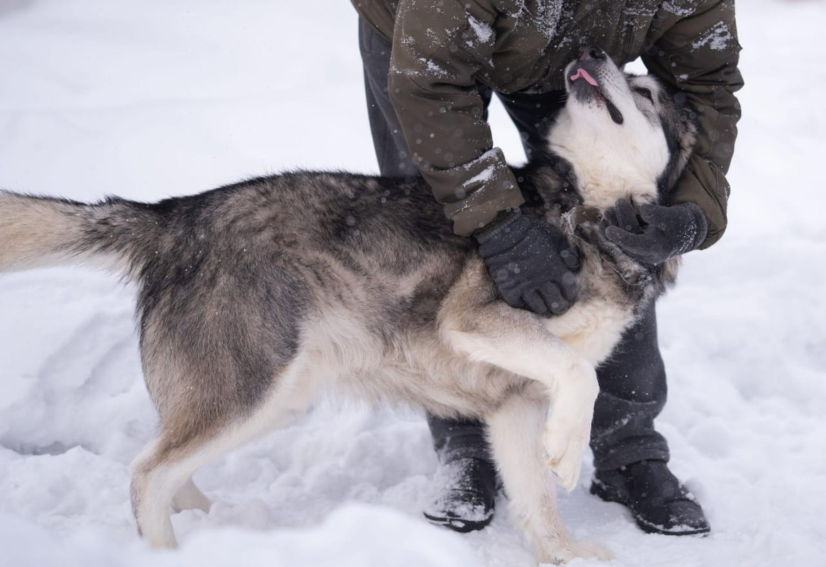 WhatsApp Image 2024-02-13 at 13.14.08 (1)