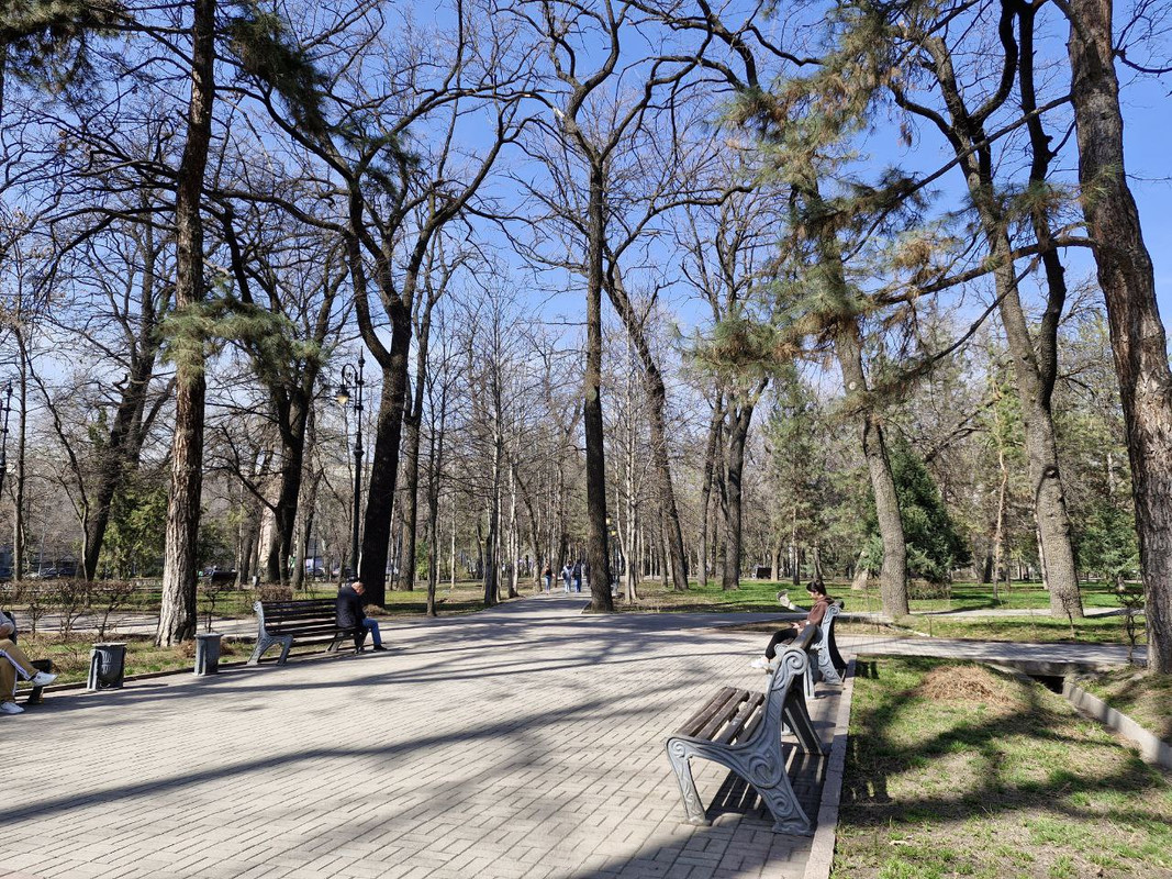 IMG_20240328_184455_425