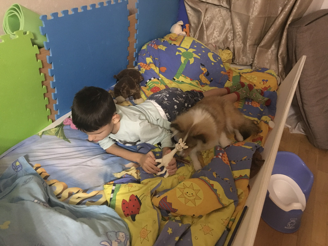 45D47987-CDF0-4C32-BC9C-858227803B74