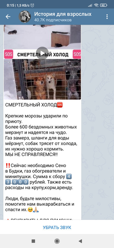 Screenshot_2021-02-18-00-15-47-042_org.telegram.messenger