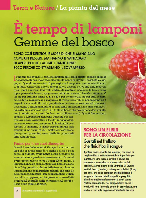 Alim Nat Ago 2021 (7)