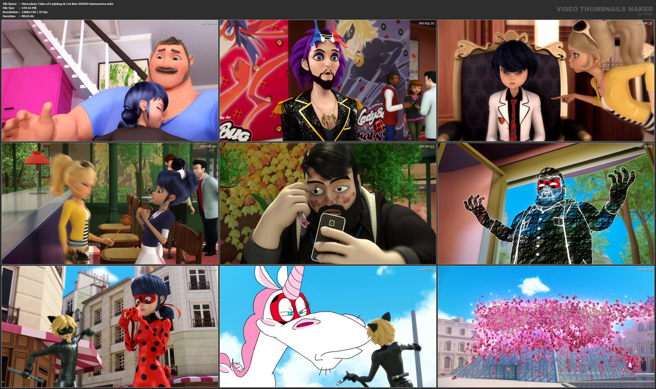 Miraculous Tales of Ladybug & Cat Noir S03E04 Animaestro.mkv
