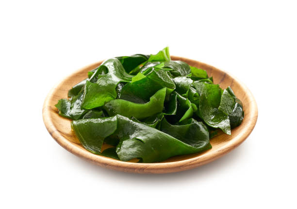 kelp dietary supplement