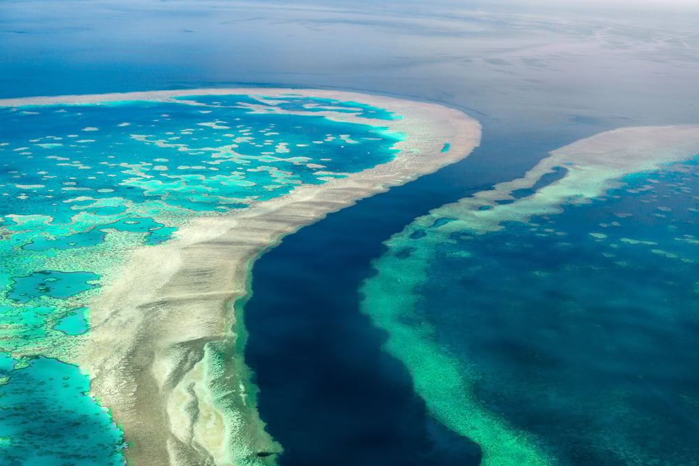 Australia Living National Treasure