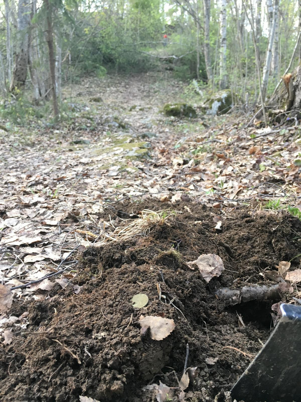 FA8F8447-27F3-4B01-B3FA-7F9161727B63