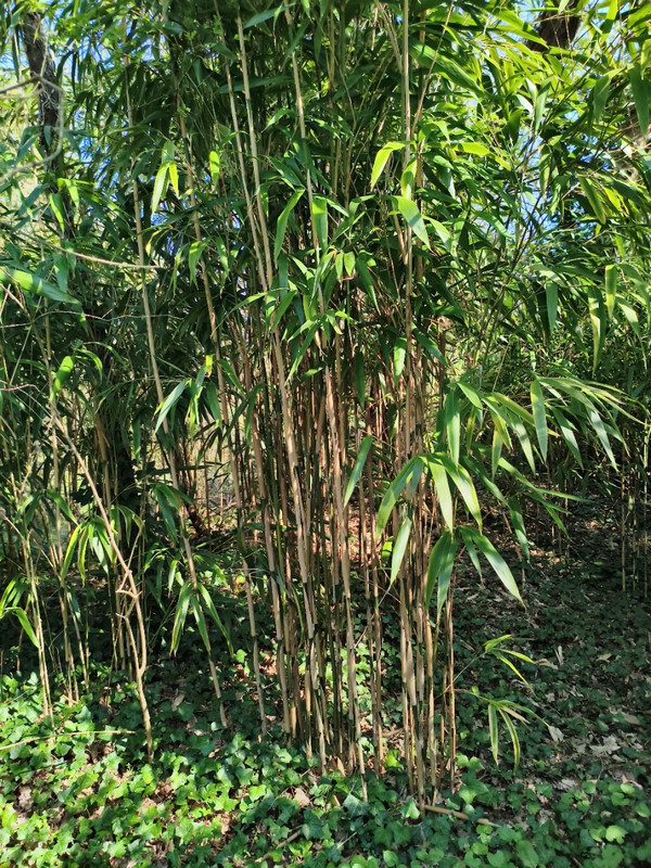 IMG 20260321 141303