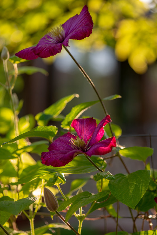 IMG-23f16c97fd7ccca3cc674582211f0b74-V