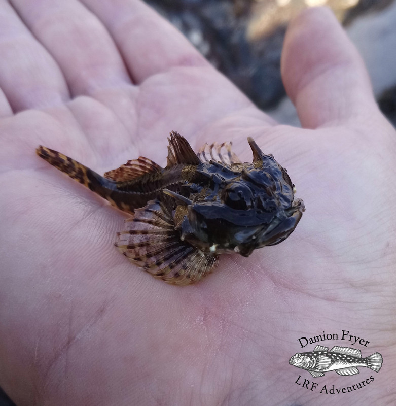 63824978-C9F5-4792-B152-792250F5DE78