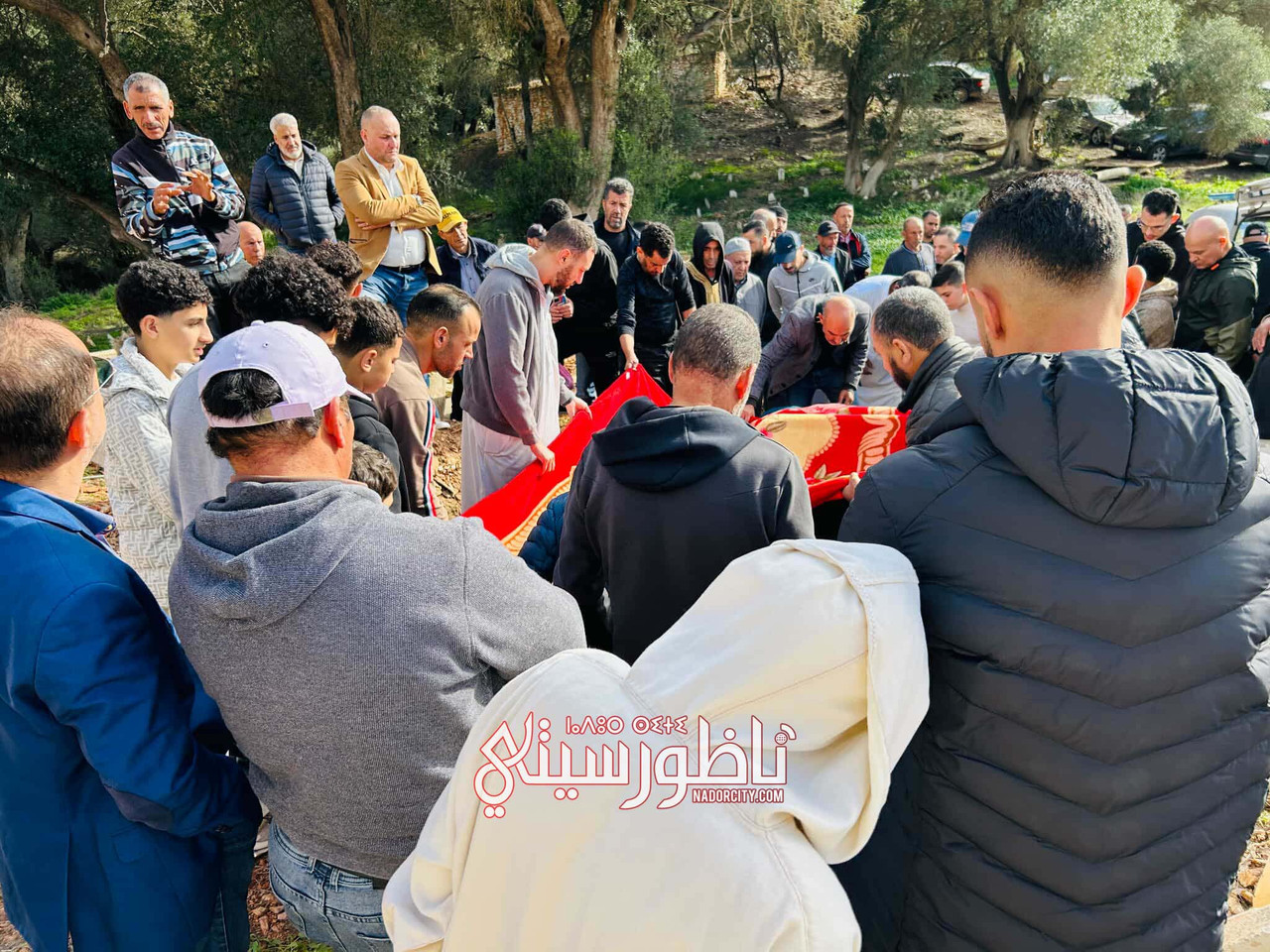 588008242-1164194519241926-2091832460026632251-n