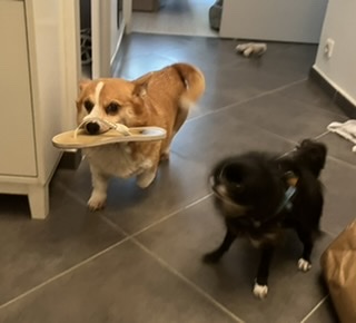 [Image: 48242447-F8-D0-4-FFB-B6-B4-7-E471-F0-AFF0-B.jpg]