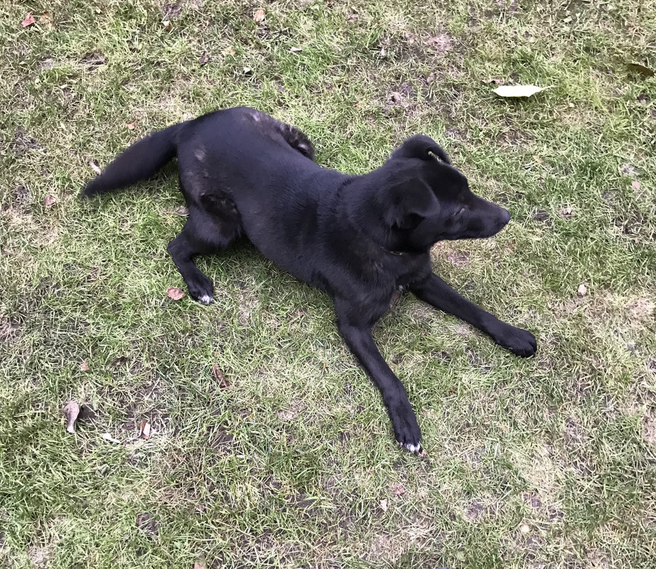 7BE91E6F-5494-4FF2-B468-42684BAE836E