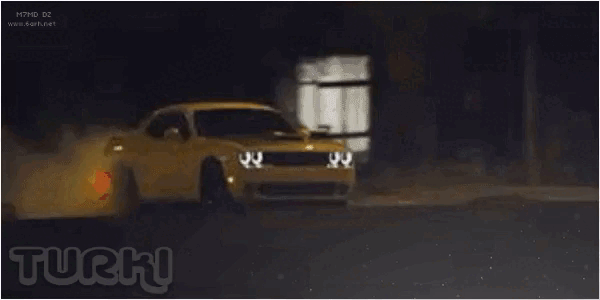 [Image: Comp-1.gif]