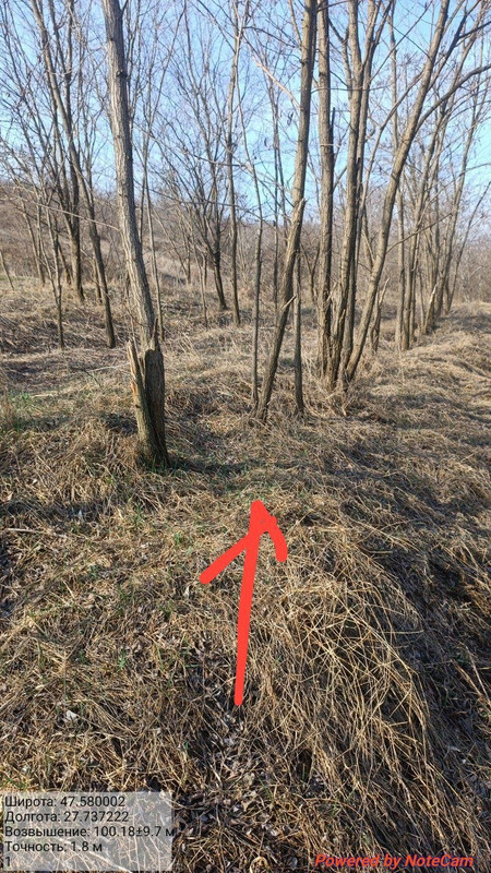 photo 2026 03 24 10 05 57