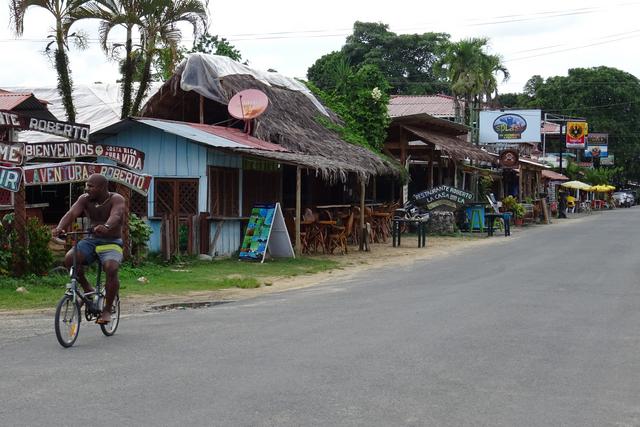 3 semanas Costa Rica en autobús 2018 Oct - Blogs de Costa Rica - Día 3. Cahuita y su parque nacional (2)