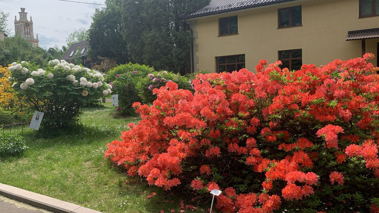 WhatsApp Image 2025-05-26 at 12.04.27