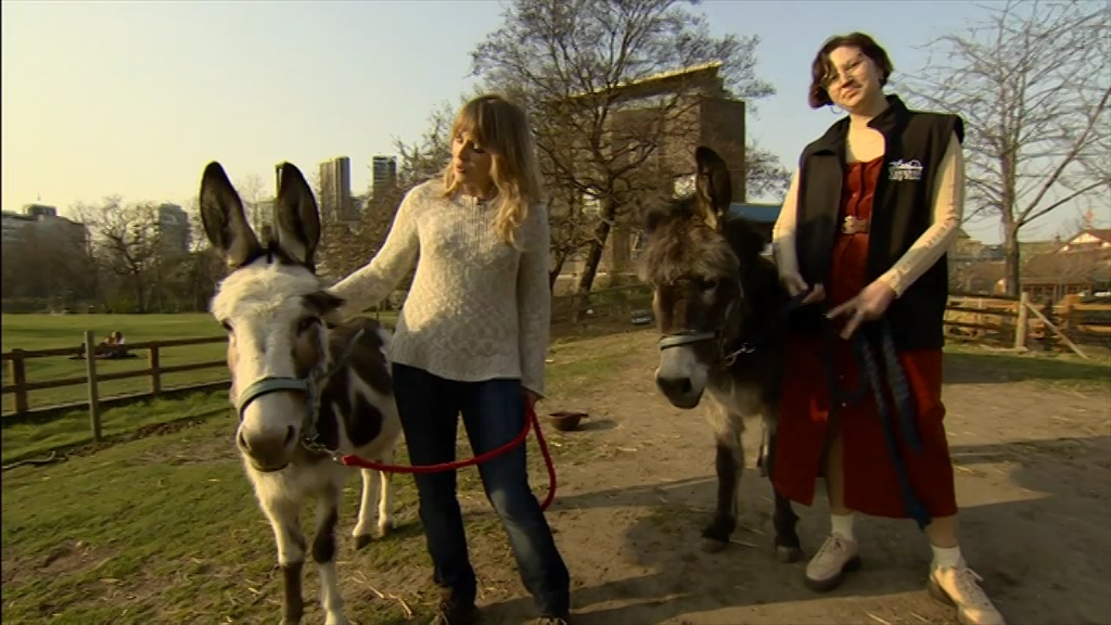 BBC London News_20220324_18301900.ts_snapshot_23.19.432