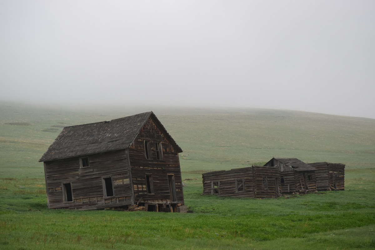 DSC_0199